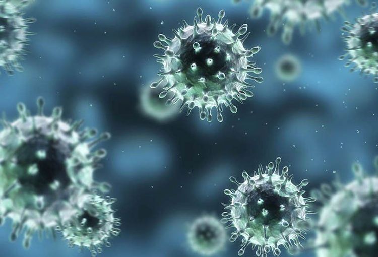 Tìm hiểu về cơ chế bệnh sinh của sự nhiễm virus